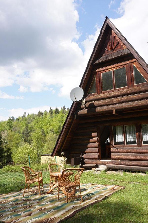 Kosarzowka Villa Bielsko-Biala Exterior photo
