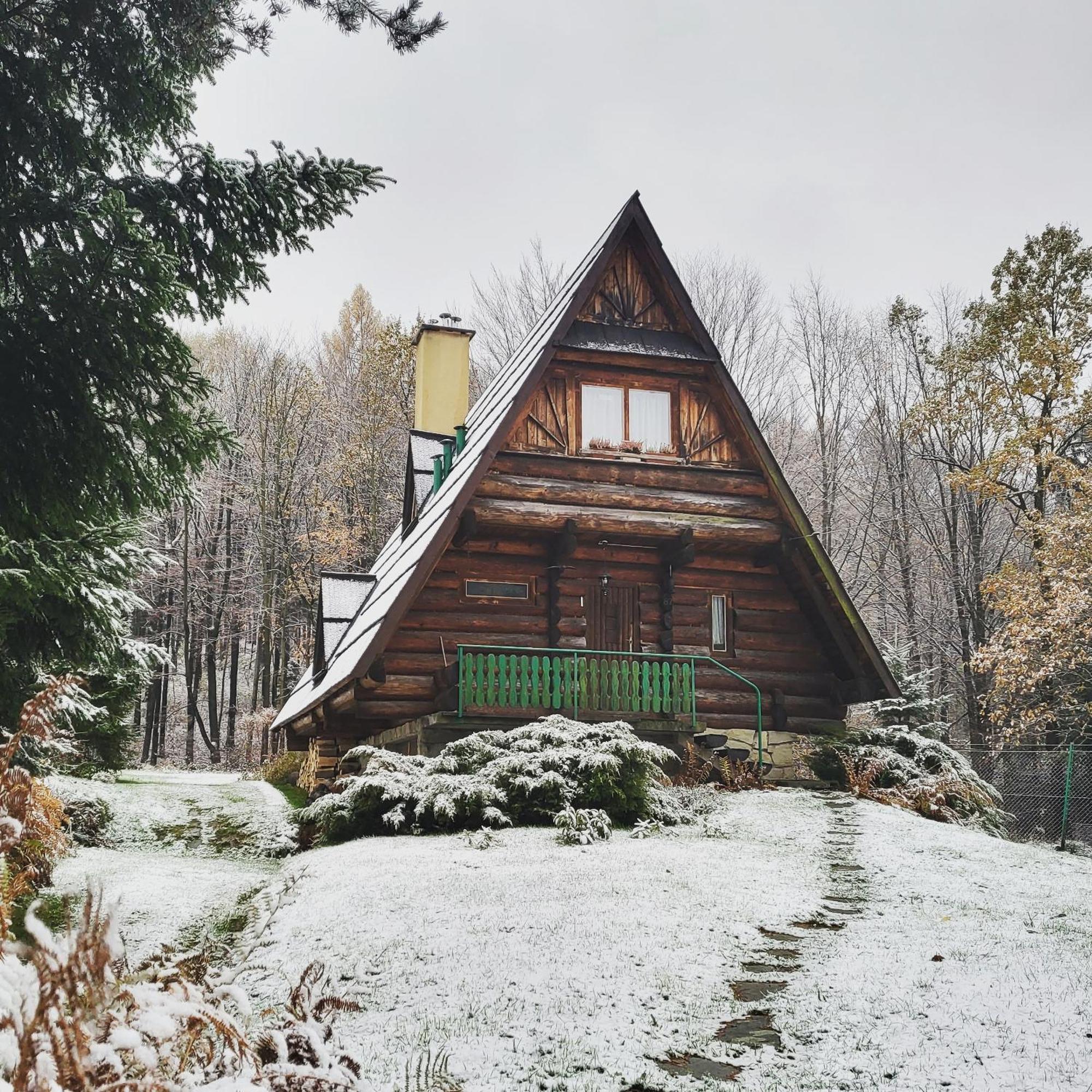 Kosarzowka Villa Bielsko-Biala Exterior photo