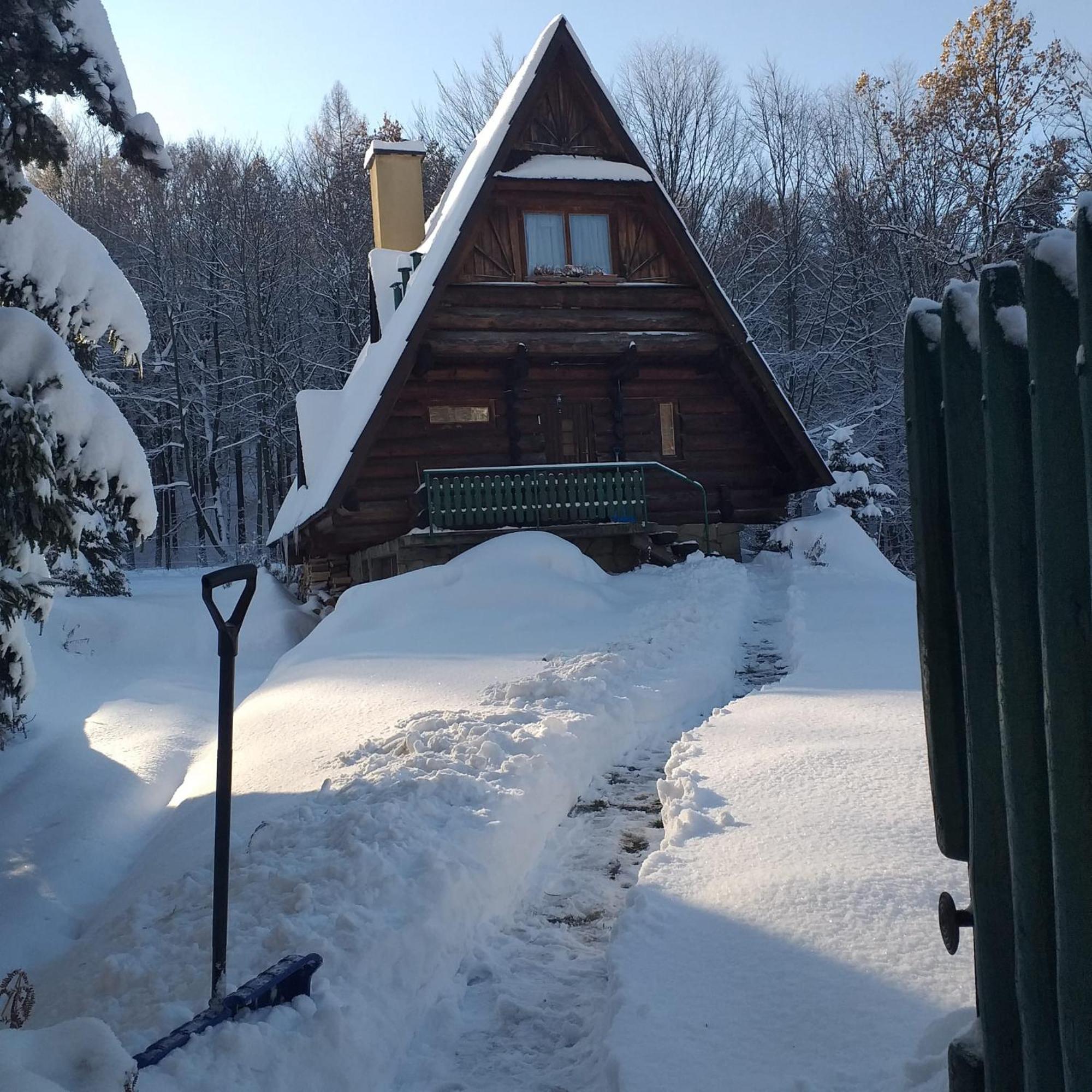 Kosarzowka Villa Bielsko-Biala Exterior photo